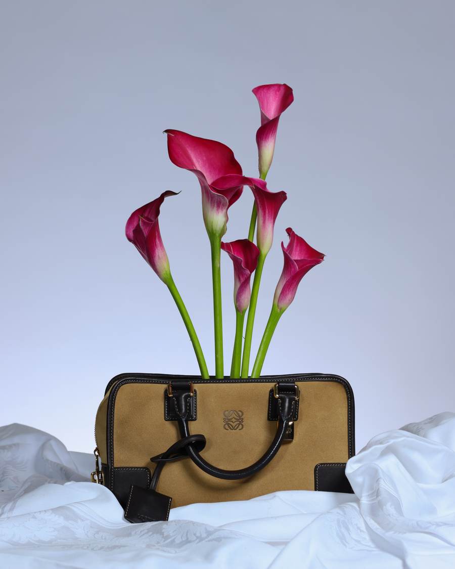 Alcatraces rosas en bolsa de lujo